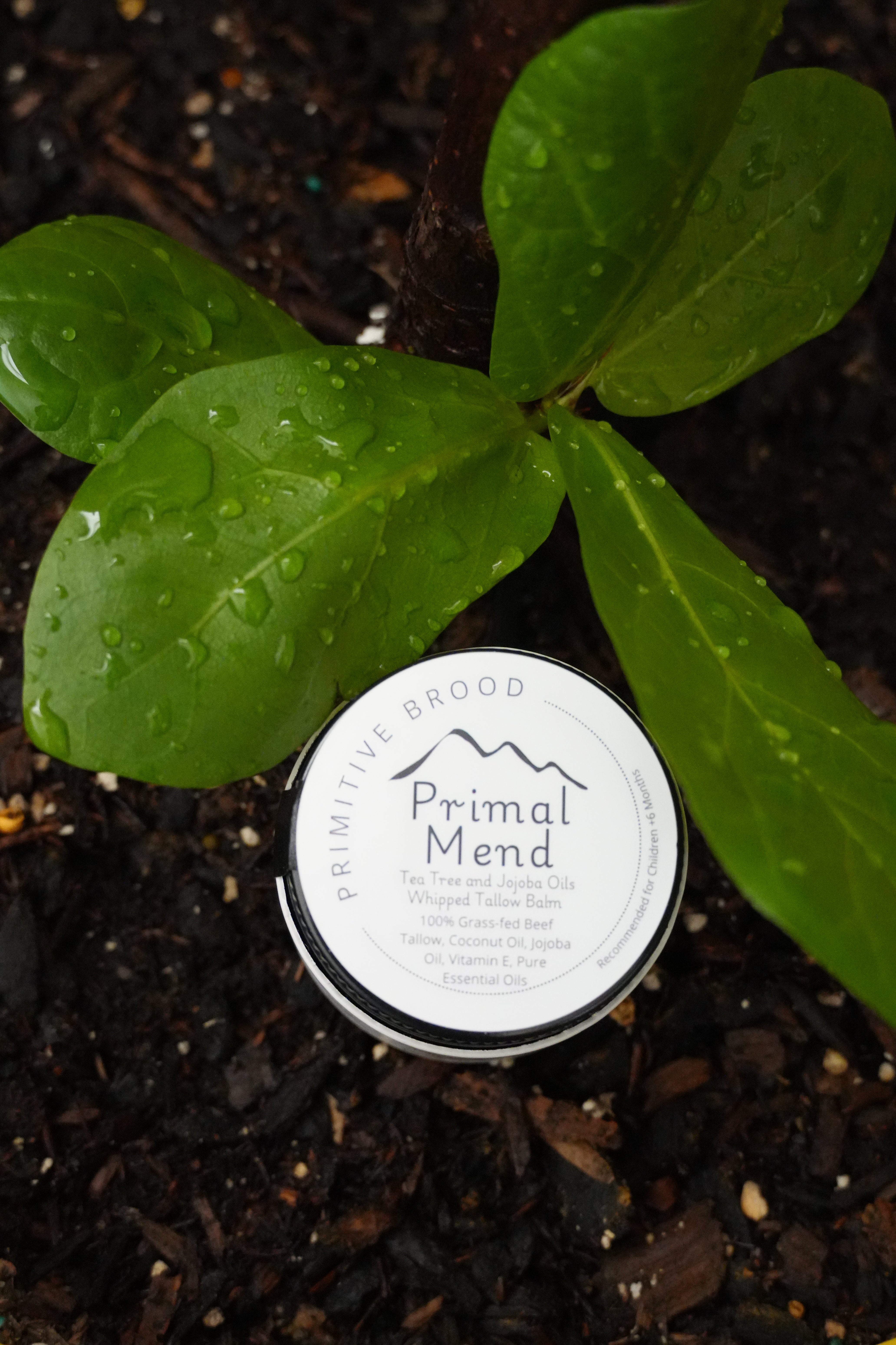 Primitive Brood's Primal Mend. Tea Tree and Jojoba Oils. Whipped Tallow Balm. 100% Grass-fed beef tallow, coconut oil, jojoba oil, and vitamin E.